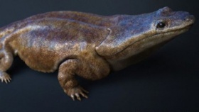 zdroj: archiv Metropolu