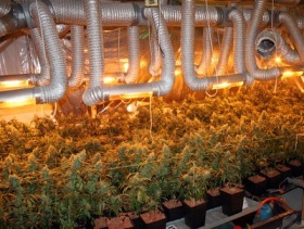 zdroj: archiv Metropolu