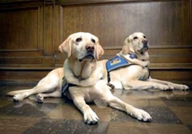 zdroj: archiv Metropolu