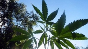 zdroj: archiv Metropolu