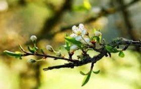 zdroj: archiv Metropolu