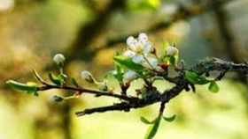 zdroj: archiv Metropolu