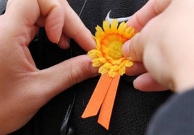 zdroj: archiv Metropolu