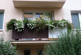 zdroj: Jitka Welzlová