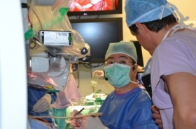 zdroj: Tiskové oddělení KZ, a. s.