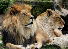 zdroj: archiv Metropolu