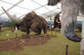 zdroj: archiv Zoo Liberec