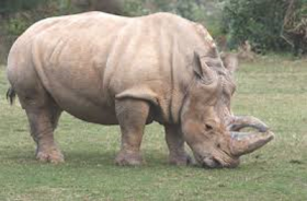 zdroj: archiv Metropolu