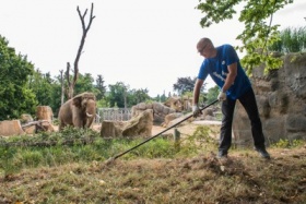 zdroj: Jana Běhalová