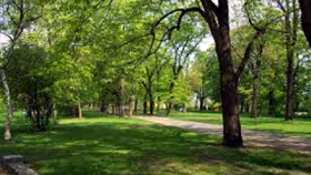 zdroj: Mediacentrum MHMP