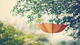 zdroj: archiv Metropolu