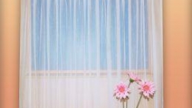 Doprovodný obrázek