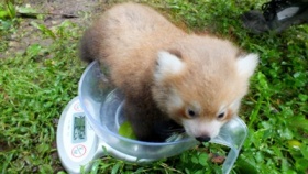 zdroj: Zoo Ústí nad Labem zdroj: Zoo Ústí nad Labem
