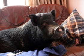 zdroj: Tomáš Moravec