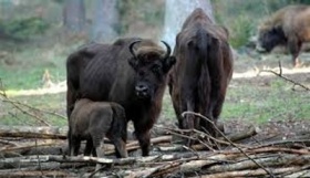 zdroj: archiv Metropolu