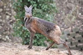 Kliknutím zvětšíte obrázek