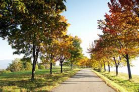 zdroj: Markéta Dědková