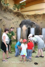 Kliknutím zvětšíte obrázek