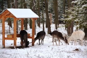 zdroj: Magdaléna Vlčková