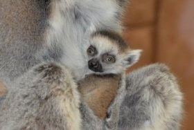 zdroj: Zoo Ústí n. L.