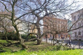 Kliknutím zvětšíte obrázek