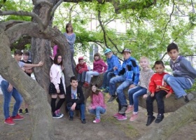 Kliknutím zvětšíte obrázek