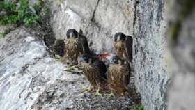 zdroj: Český rozhlas Sever zdroj: Český rozhlas Sever