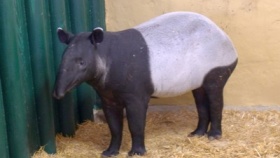 zdroj: Zoo Ústí n. L. zdroj: Zoo Ústí n. L.