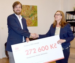 Kliknutím zvětšíte obrázek