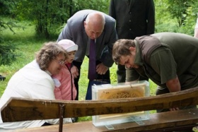 Kliknutím zvětšíte obrázek