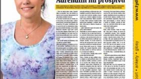 zdroj: Metropol zdroj: Metropol