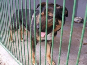 zdroj: Město Česká Lípa