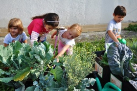 Kliknutím zvětšíte obrázek