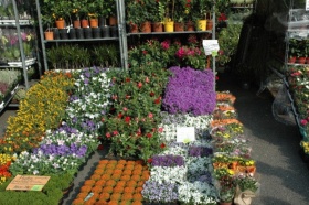 Kliknutím zvětšíte obrázek