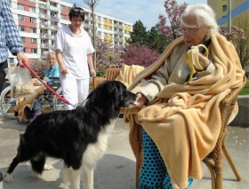 zdroj: Věra Breiová