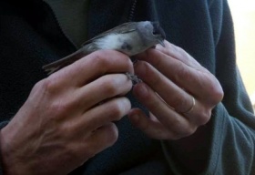 Kliknutím zvětšíte obrázek