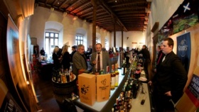 zdroj: Novoměstská radnice, p.o