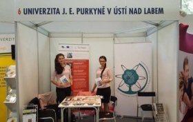 Kliknutím zvětšíte obrázek