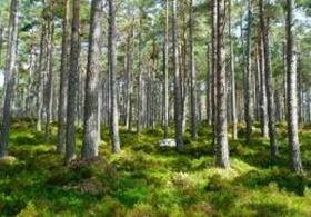 Kliknutím zvětšíte obrázek