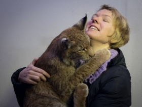 Kliknutím zvětšíte obrázek