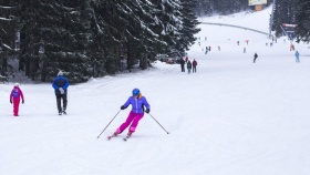 zdroj: Prime Communications