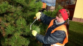 zdroj: Město Chomutov