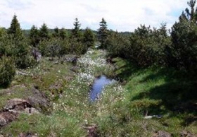 zdroj: Ústecký kraj