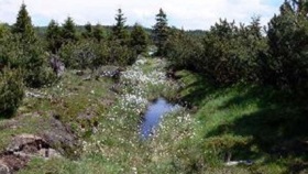 zdroj: Ústecký kraj