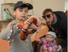 Kliknutím zvětšíte obrázek