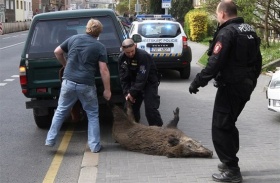 zdroj: Město Ústí n. L.