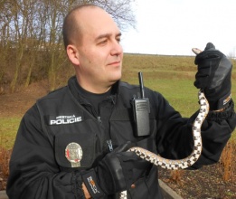 Kliknutím zvětšíte obrázek