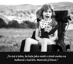 Kliknutím zvětšíte obrázek