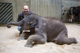 zdroj: Zoo Praha zdroj: Zoo Praha