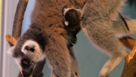 zdroj: Zoo Ústí n. L.